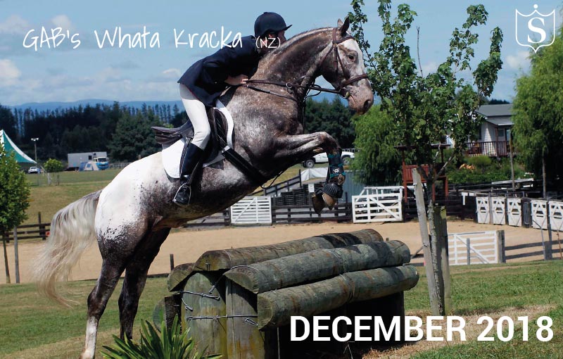 Mr December 2018 - GAB's Whata Kracka